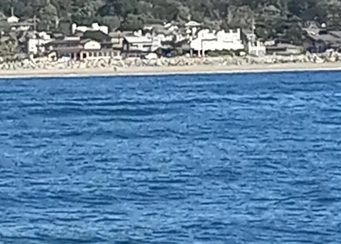The Oceanfront Stay On Miramarbeach Hmb